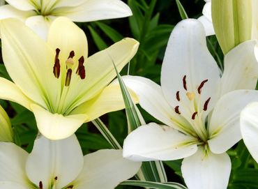 2026 april icsc stewardship prayer